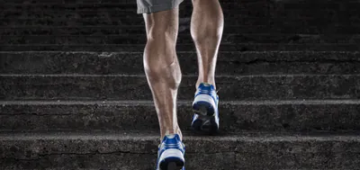 Mann_Treppe_Waden_Muskulatur_shutterstock_211657993-1500x710.jpg