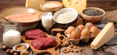 Eiwei%C3%9Freiche_Lebensmittel_shutterstock_437586160-1500x710.jpg