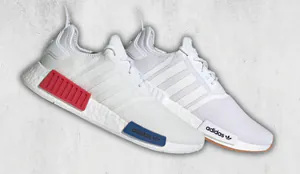 NMD_R1-Cover.png