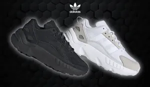 AdidasZX22-Cover.png