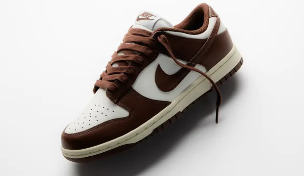 dunk low sail brown app.jpg