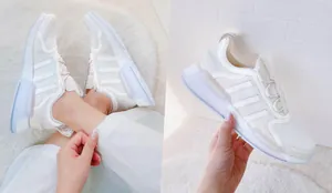 nmd24986326.jpg