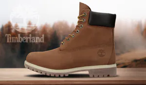 Timberland6Inch-Cover.jpg