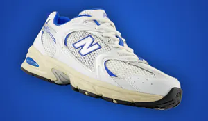 nb530-cov.jpg