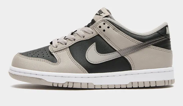 dunk16963265236.jpg