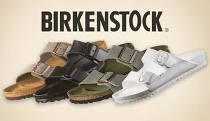 coverbirkis.png