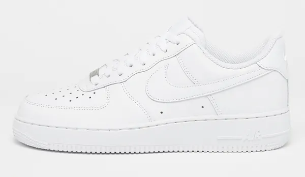 af1er5164961.jpg