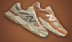 nb9060-cov.jpg