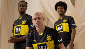 bvb2149633.jpg