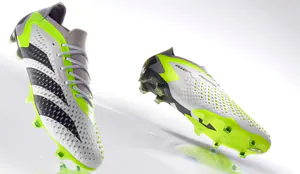 predator1496219.jpg