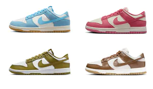 covercdunk.png