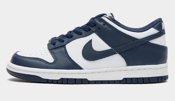dunk56169543.jpg