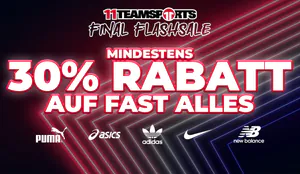11tsfinalflash-cov1.jpg