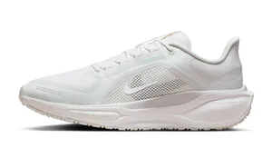 cover_Pegasus41goretex.png