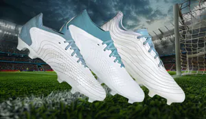 adidasschuhe-cov.jpg