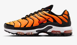covernikeairmaxplus.png