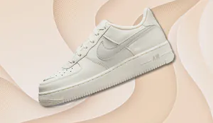AF1-Cover.jpg
