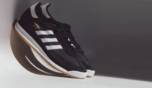 sl72er61394.jpg