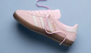 gazelle514465.jpg