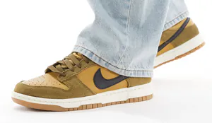 dunk2154321.jpg