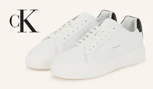 PS Cover Q4 25 - 2025-12-24T104027.908.png