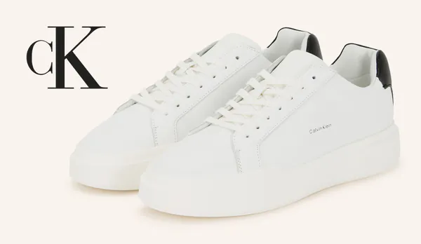 PS Cover Q4 25 - 2025-12-24T104027.908.png