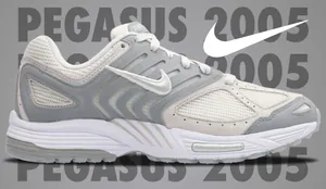 NikePegasus-Cover.jpg