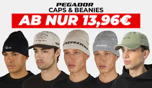 pegadorbeanies-cov.png