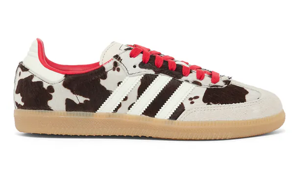 PS Cover Q4 25 - 2026-01-22T115525.118.png