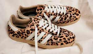 PS Cover Q4 25 - 2026-01-23T171715.740.png