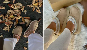 PS Cover Q4 25 - 2026-01-26T160039.255.png