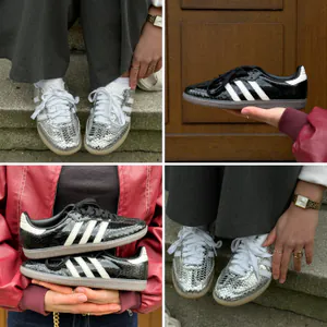 Collage sambasnake.jpg