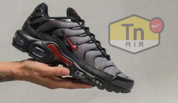 cover kattek test (82).png