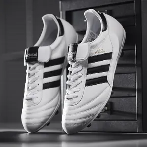 copa216236.jpg