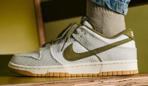 dunk514584561.png