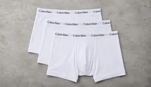 covercalvinbx.png