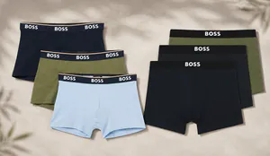 Boss Boxis.png