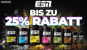 ESNAI-Cover.jpg