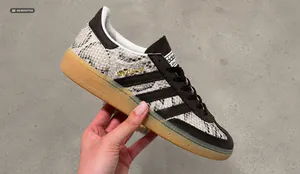 handball5156463.png