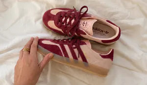 gazelle5641614.jpg